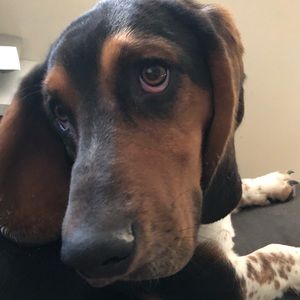 Meet your Posher, Janice